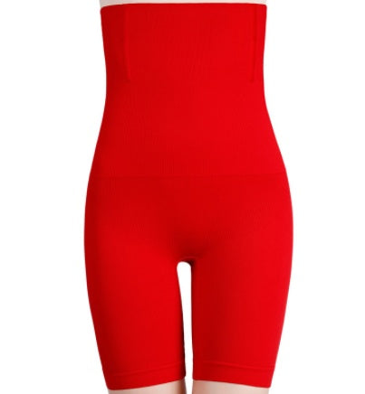 Waist Trainer Shapewear Tummy Control Panties